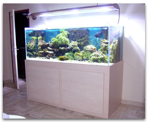 Sonew Usine d'eau artificielle Aquarium d'animaux de mer